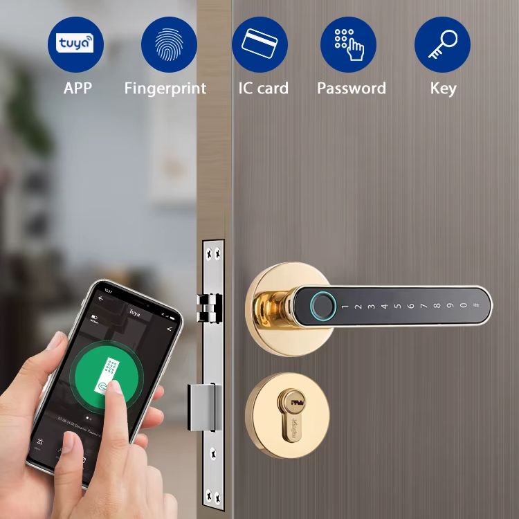 Tuya Biometric Fingerprint Sma - огляд і ціна Letter Opener Brass